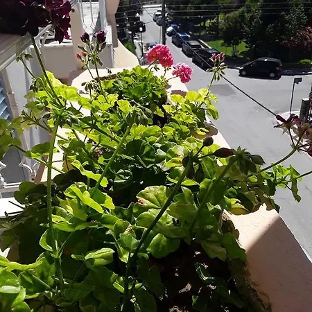 Ikaros Apartment